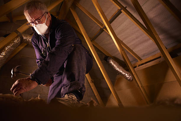 Best Insulation Maintenance and Repair in Sutter, CA